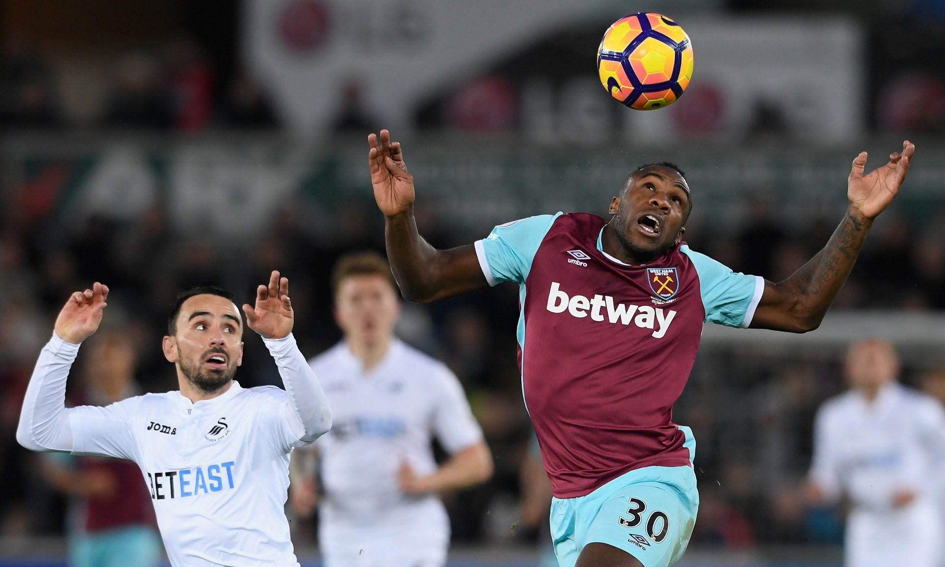 不仅为运动 不仅为运动