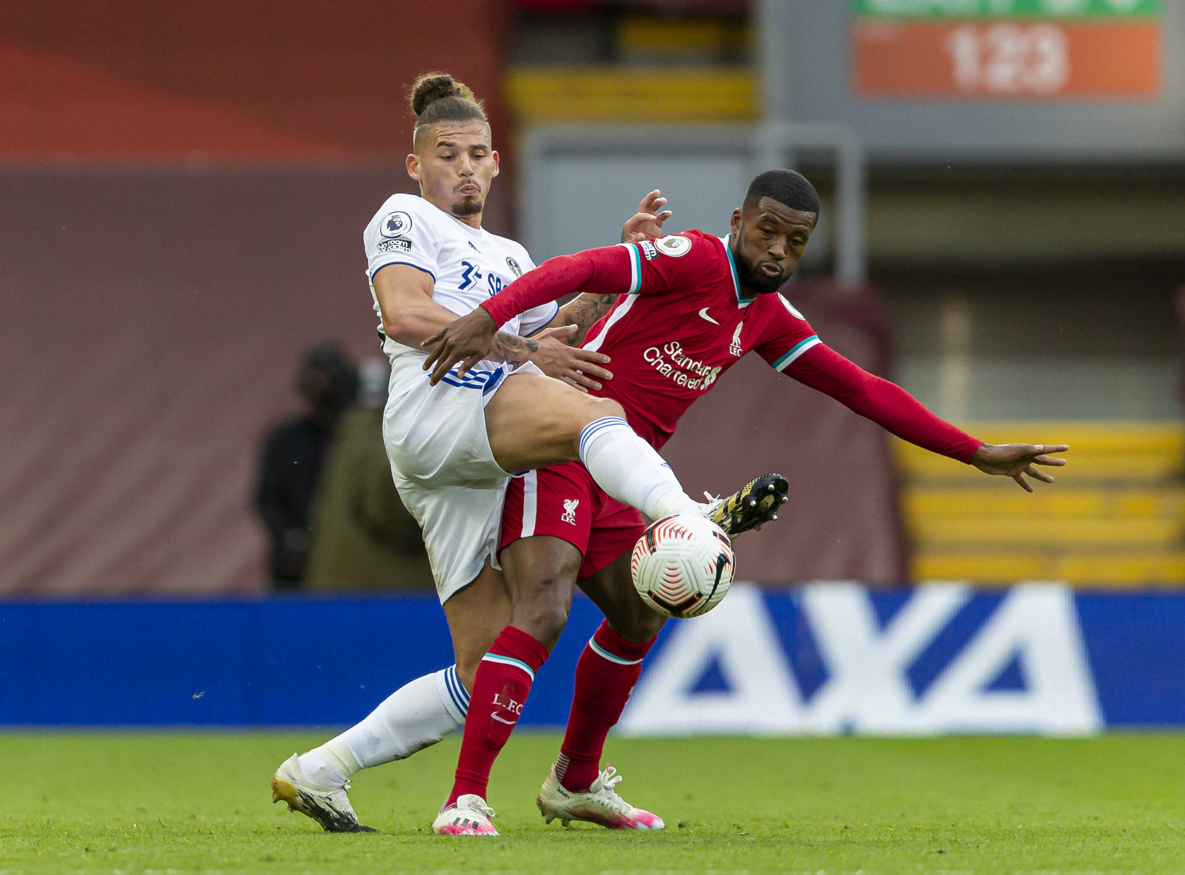 他出色的领 他出色的领